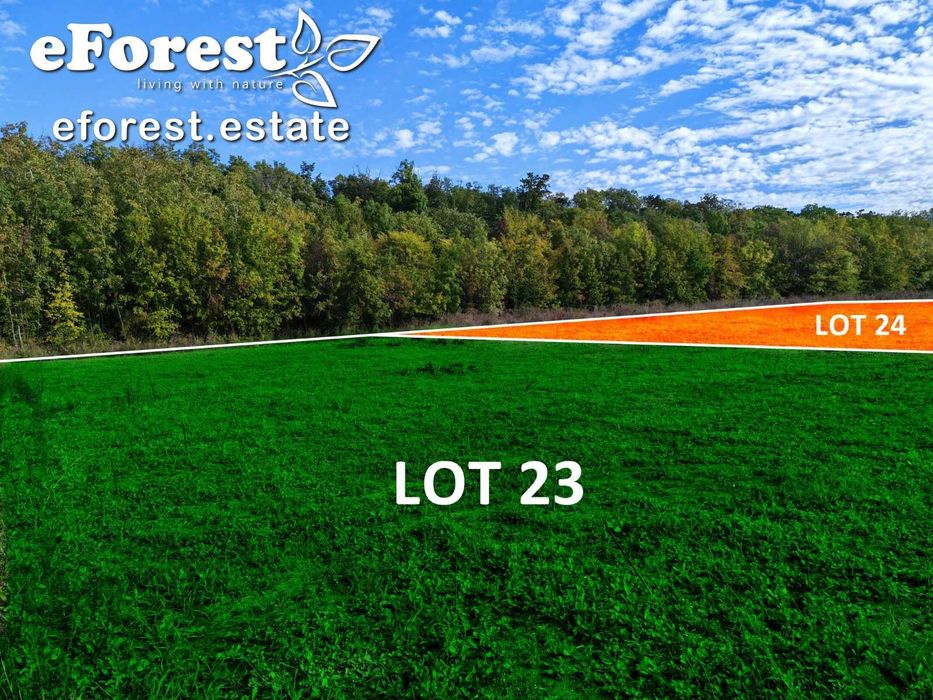 eForest, Loturi la lizieră cu pădurea, acces din DN1A, după Buftea