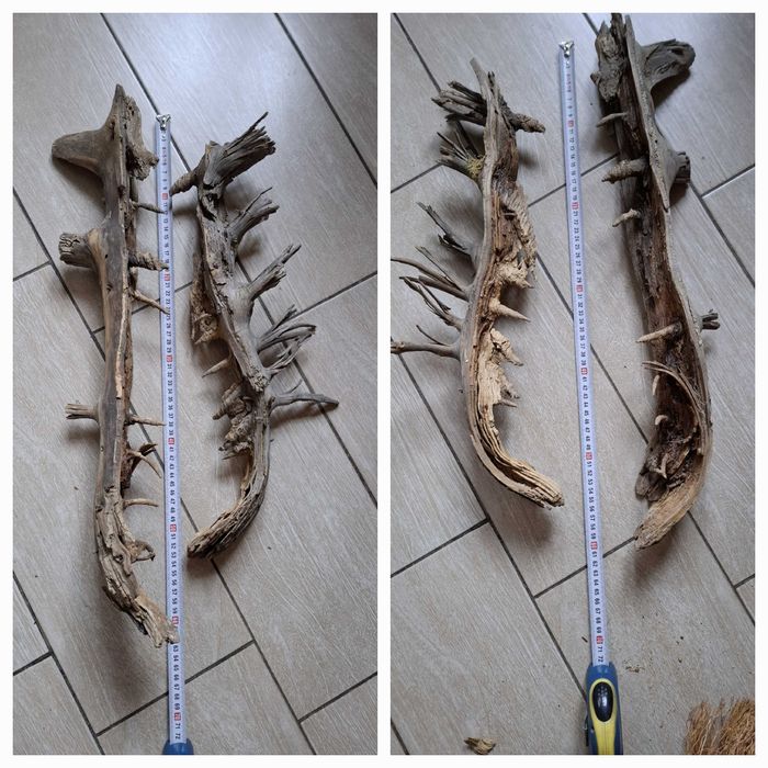 коряги разные для поделок или декора