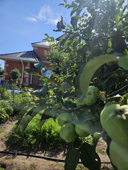 Продам дом с ЗУ, баней и хоз.постройками