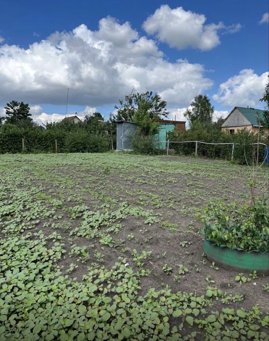 Продается дача в СО Гудок- Эврика