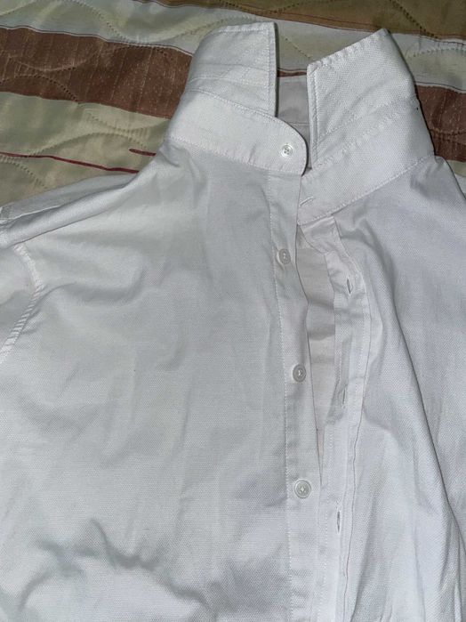 Бяла риза TUDORS