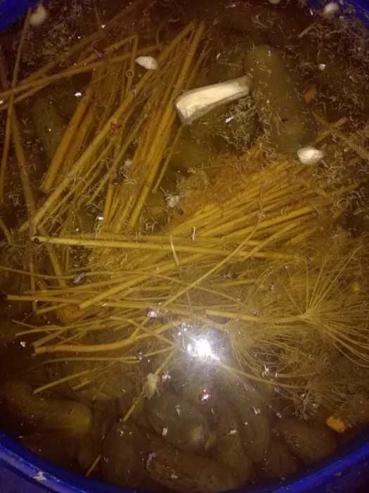 Vand castraveti murati .