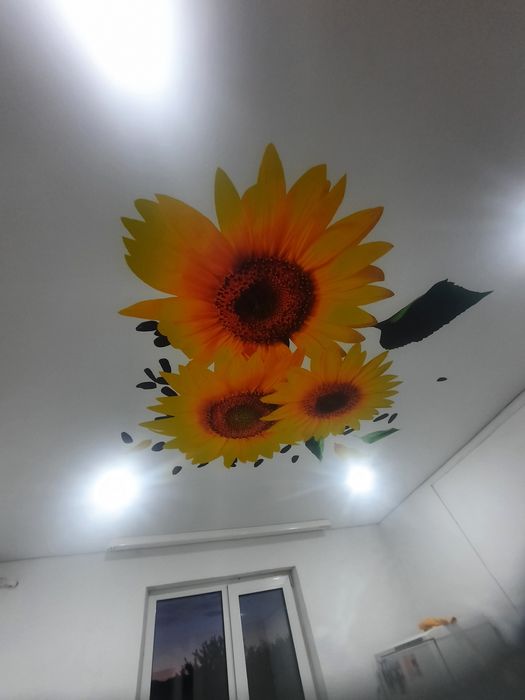 Пластиковые окна Балконы