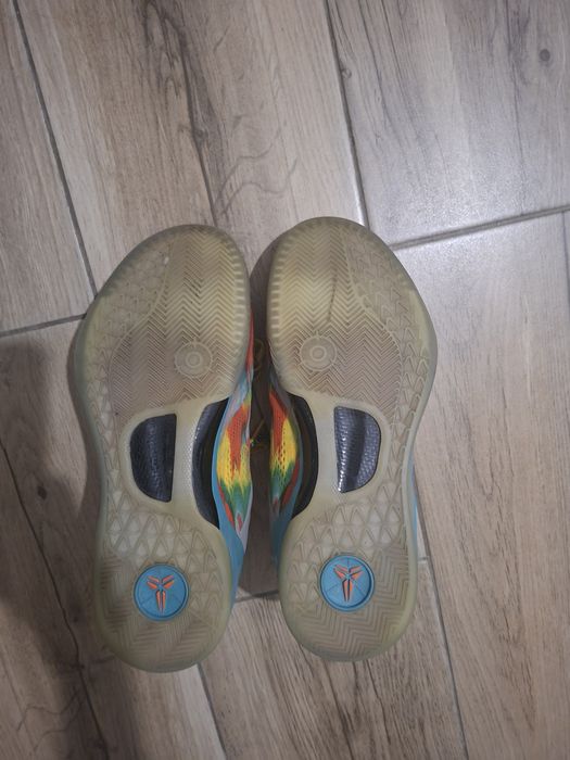 Kobe 8 venice beach