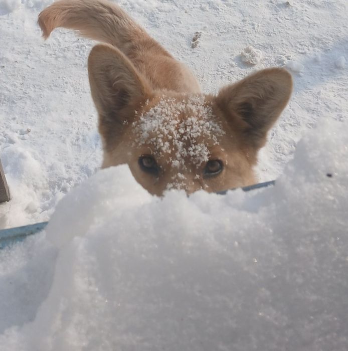 Часть  дома, вода, ванная (Опытное Поле)!