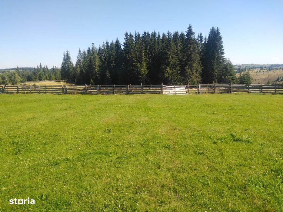 Teren intravilan in Maguri, 3538 mp,zona excelenta, cu potential !