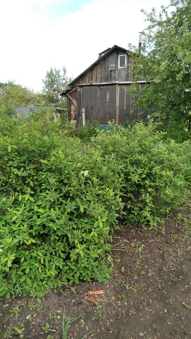 Продам дачу. Общество "ракета"