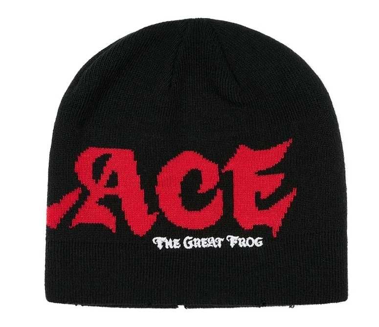 Palace tgf beanie