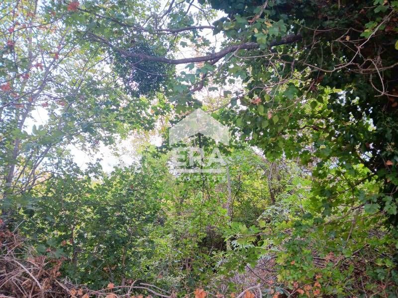 Продава се Парцел в с. Осеново, Област Варна - 1049 кв.м за 27 €/кв.м - Снимка #2