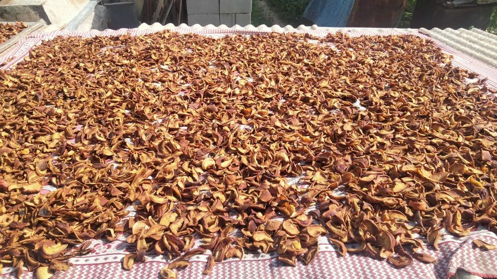 Сухофрукты груша
