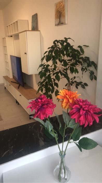 Inchiriez garsoniera la Burdea