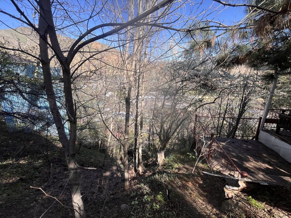 Хумсан, летняя дача 14.5 соток по кадастру. Фасад 50 метров.