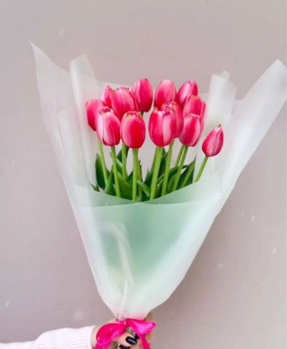 Тюльпаны •тюльпаны тюльпаны тюльпаны тюльпаны