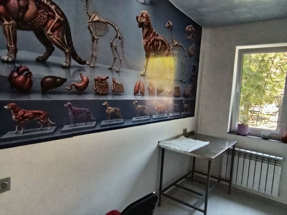 Vet Klinika 24/7