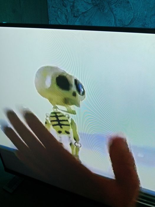 Муха из сериала Бригада.