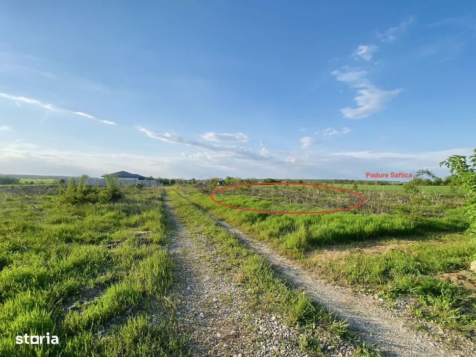 Teren Corbeanca, Balotesti, retras, cu padure si lac in apropiere