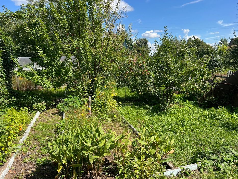 Дача, общество Веснянка