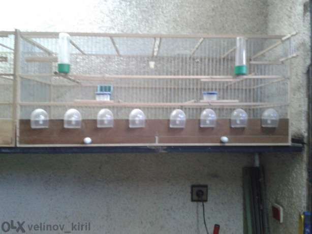 Дървени клетки и капани за птици