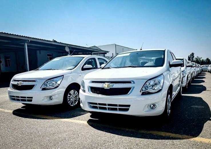 ‼️Cobalt masla‼️ bez probek