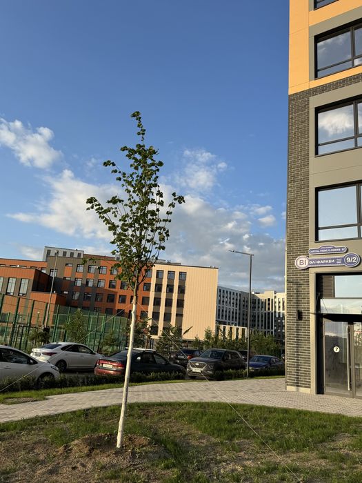 Квартира в аренду