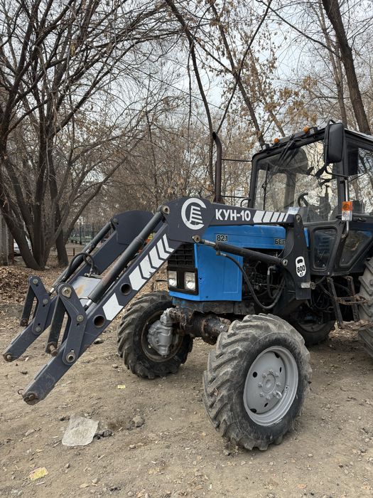 Продается кун (кун-10)