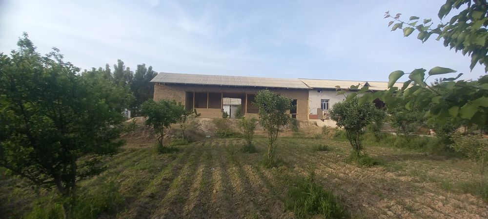 ХОВЛИ СОТИЛАДИ 13 сотихли. Хатирчи тумани Ибн Сино, Куччи МФЙ.