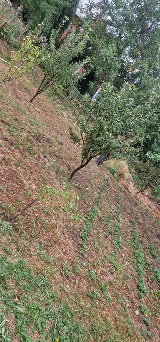 Чимганда дача сотилади  тогни тепаси