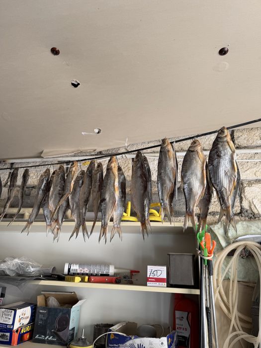 Сушенная рыба ︎ ︎ ︎ ︎ ᅠ ︎ ︎