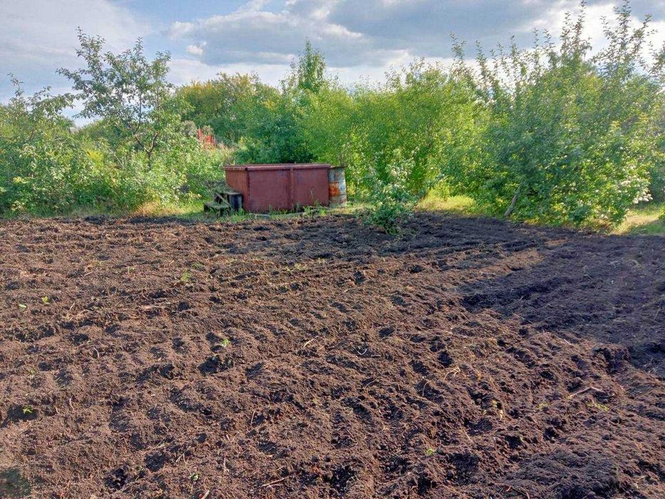 Дачный участок в  с/о "Ромашка"