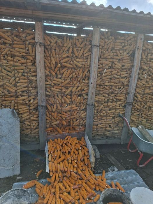 Vând graunte sticlos  calitatea 1,  1.3 kg , tel 0757126076