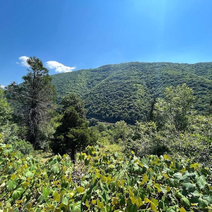 Продава се Къща в с. Безден, Област София-област - 52 кв.м за 344 €/кв.м - Снимка #7