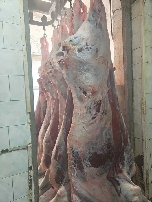 Мясная продукция говяжья