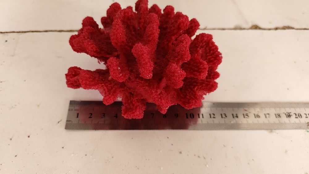 Akvarium uchun Karallar