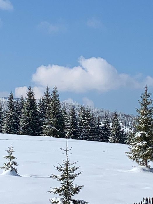 Vand parcele de 1375 si 1415 mp  la Belis aproape de lac