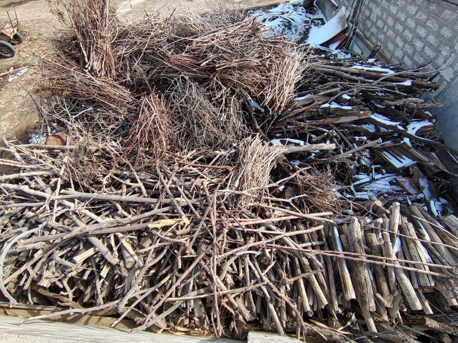 O'tin sotiladi kunda shappa