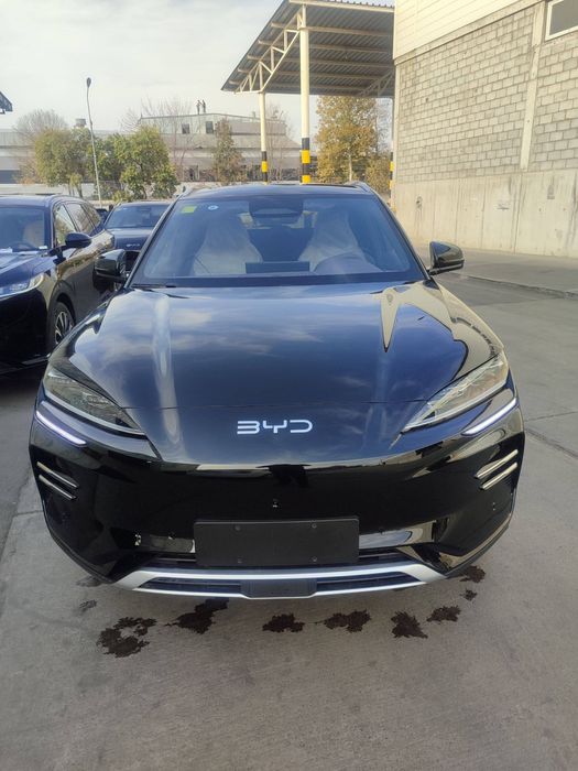 BYD song chempion 605