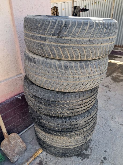 Шины.радиал 16.норм