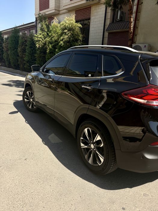 Tracker Premier 2023  кора