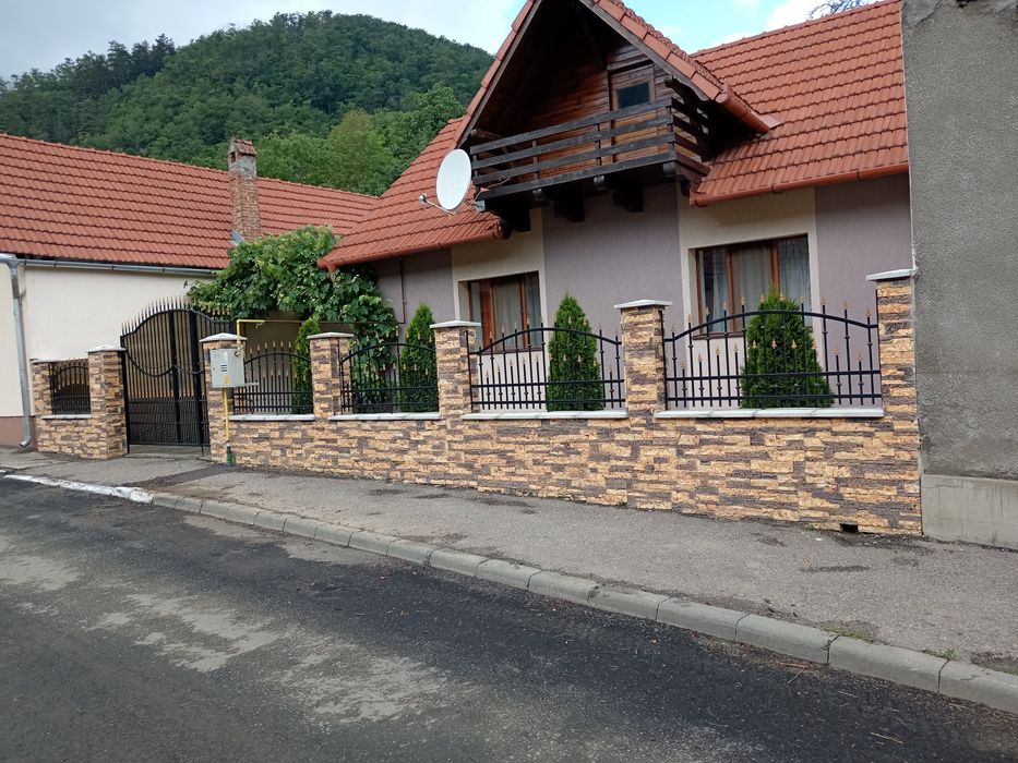 Acoperișe , garduri, interioare