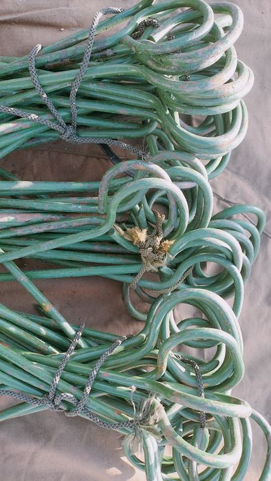 Колочки на палатки