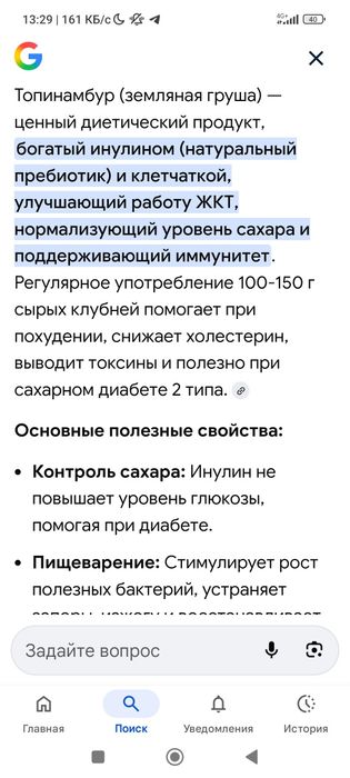 Топинамбур  свеже копаный