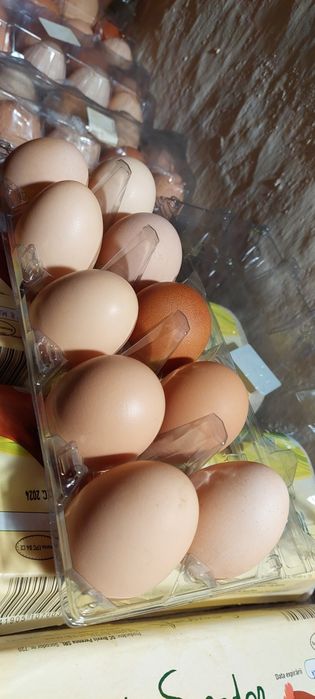 Oua de gaini cescute  natural