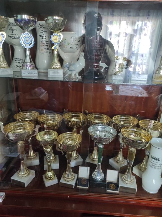 Porumbei cu rezultate deosebite , fond și maraton ( expoziție)