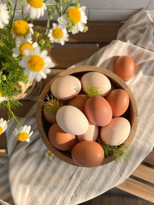 продам инкубацинное яйцо
