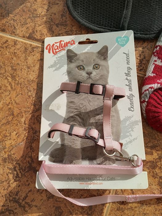 Комплект за котенце