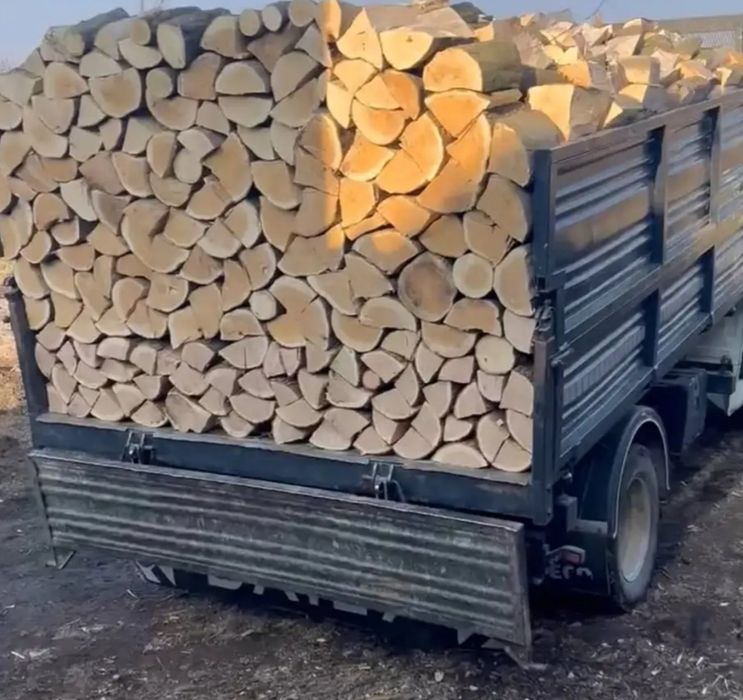 Lemne de foc esenta tare