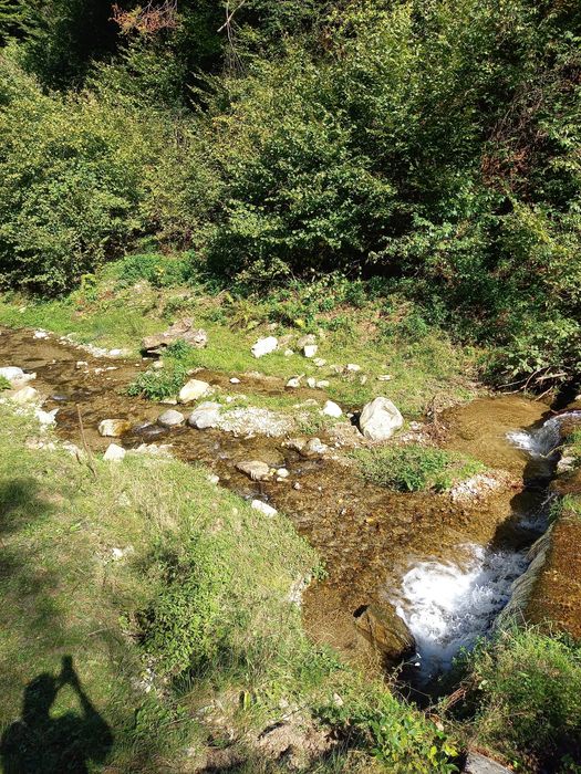 Teren de cabana pe Valea Recii( sat Strungari)