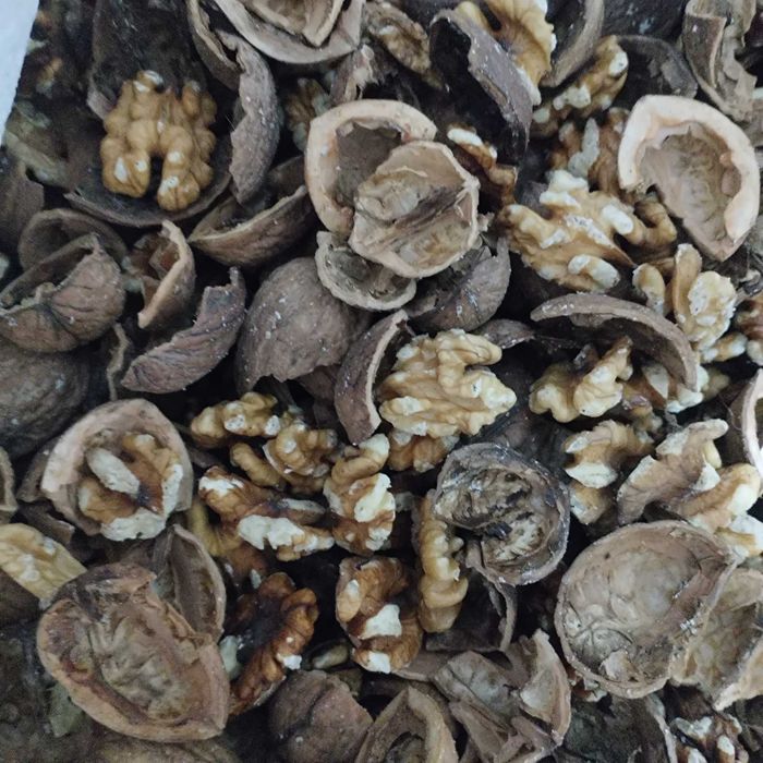 Nuca în coaja. Vând