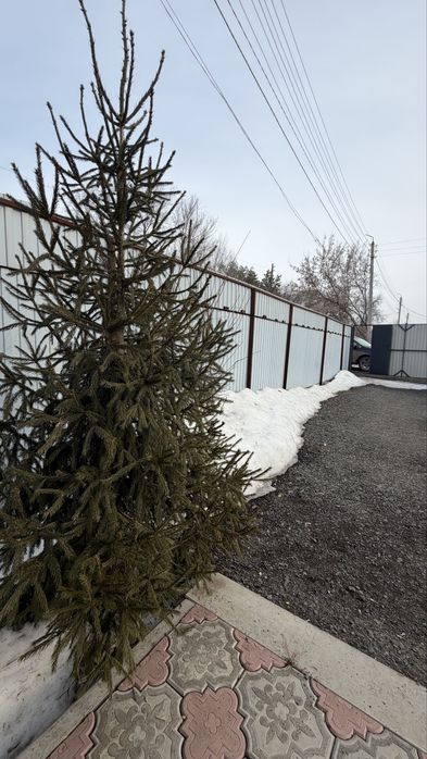 Продается мансардный дом в Плодоовощном