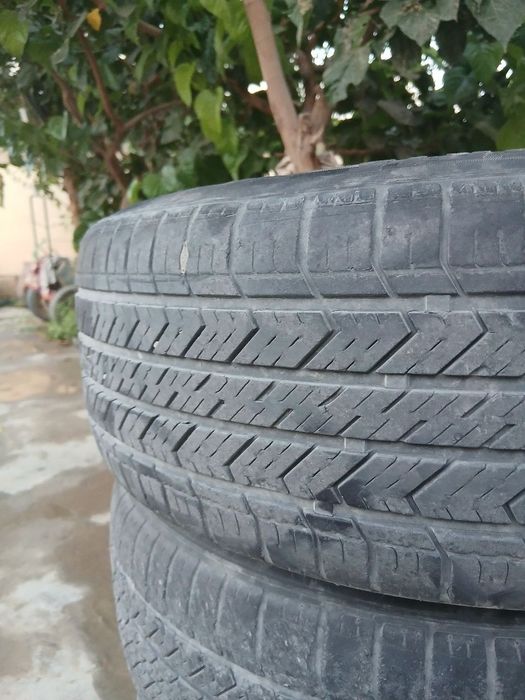 Jentraga balon diska